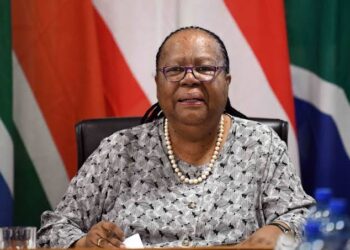 Pandor Calls for Stronger Diplomacy After Rubio’s G20 Snub