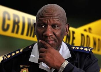 Cele Accuses Mchunu of Overstepping Authority in Disbanding KZN Task Team